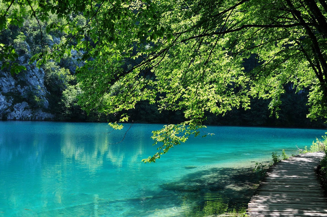 Plitvice Ežerai, Kroatija, Vanduo, Žalias, Parkas, Ežeras, Miškas, Kraštovaizdis, Dykuma, Peizažas