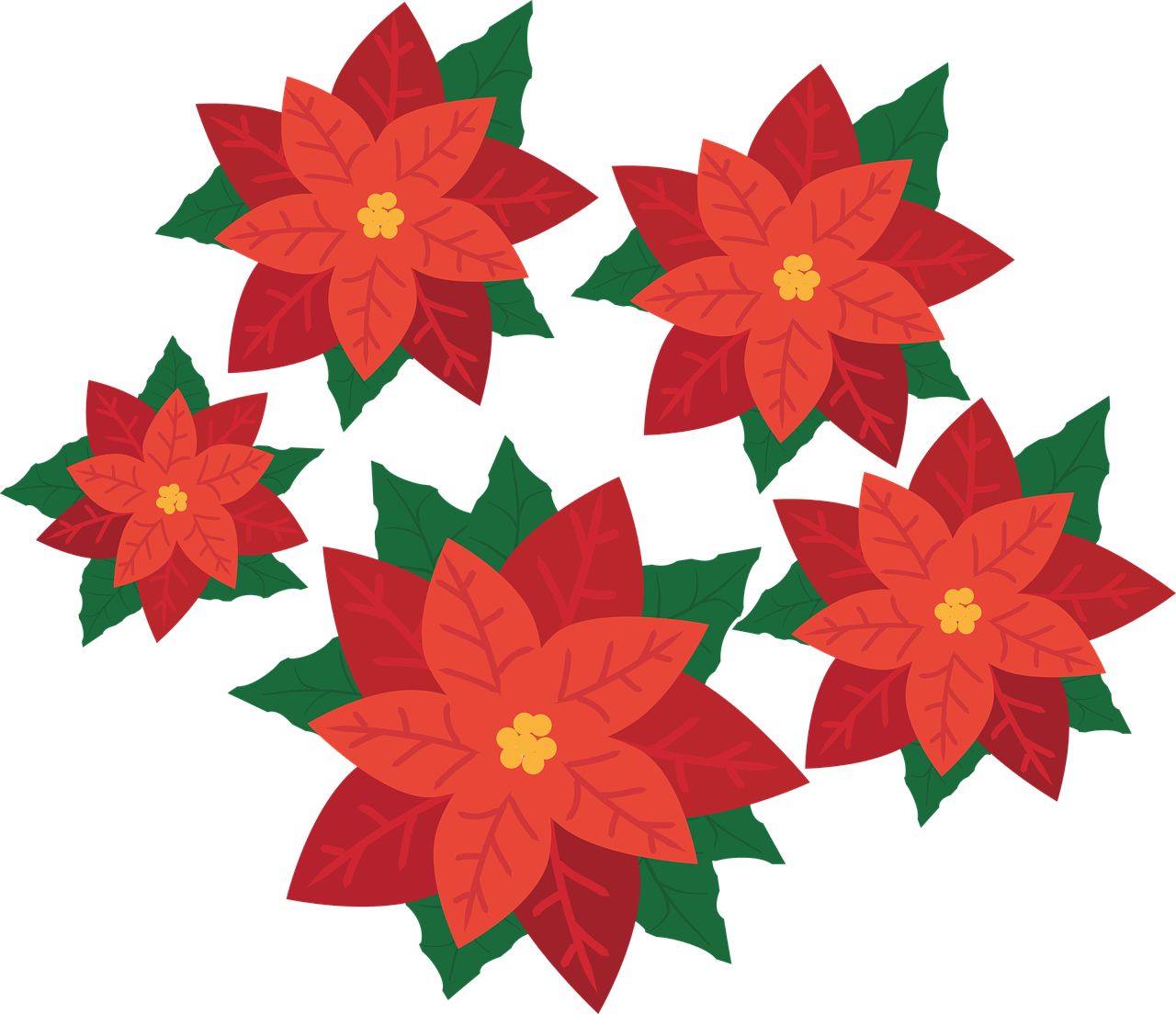 Poinsettia, Gėlė, Augalas, Žiedas, Žydėti, Kalėdos, Raudona, Raudona Gėlė, Euphorbia Pulcherrima, Deko