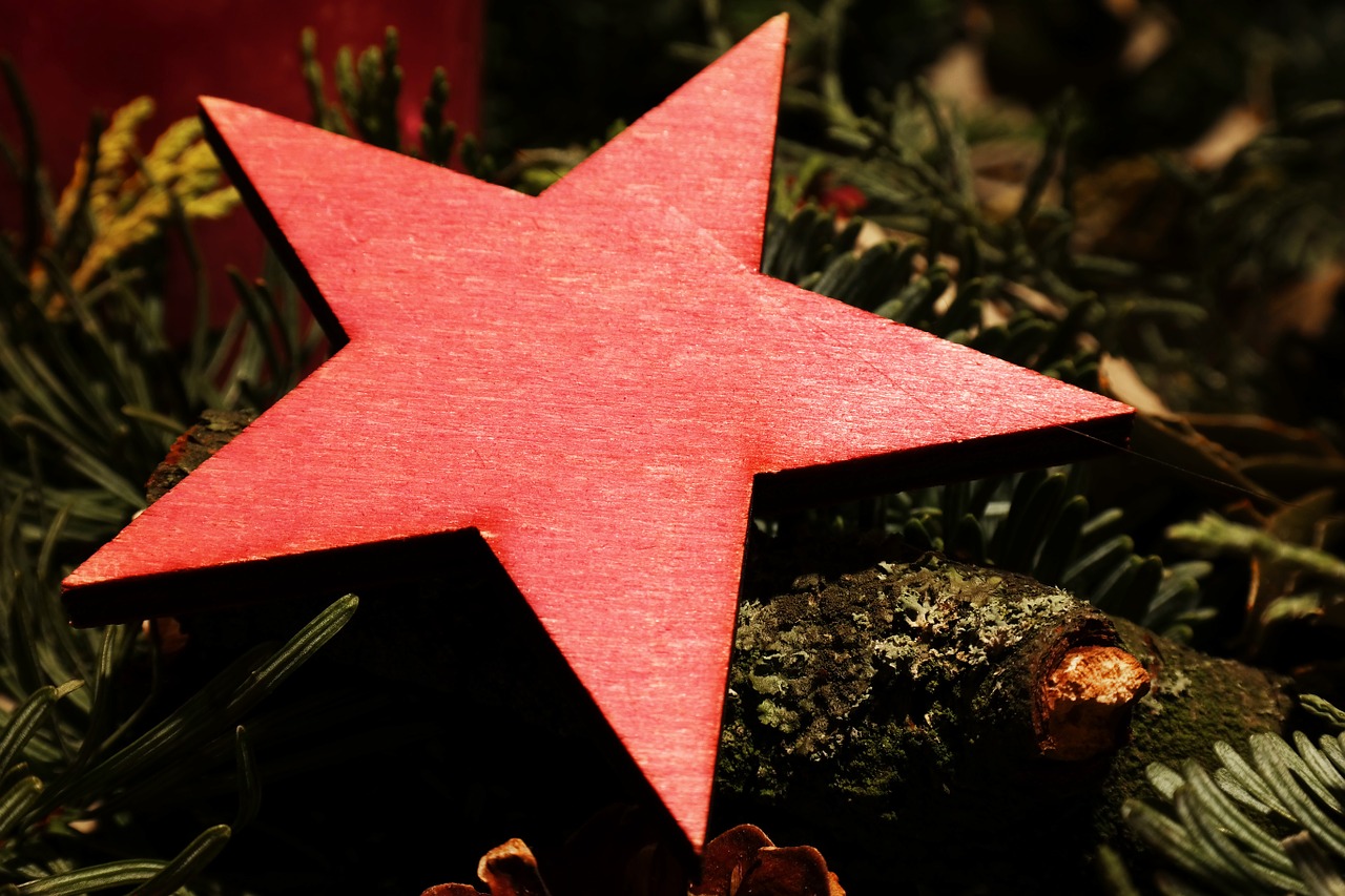 Poinsettia, Žvaigždė, Kalėdos, Kalėdų Laikas, Weihnachtsbaumschmuck, Kalėdų Papuošalai, Medžio Dekoracijos, Apdaila, Festivalis, Raudona