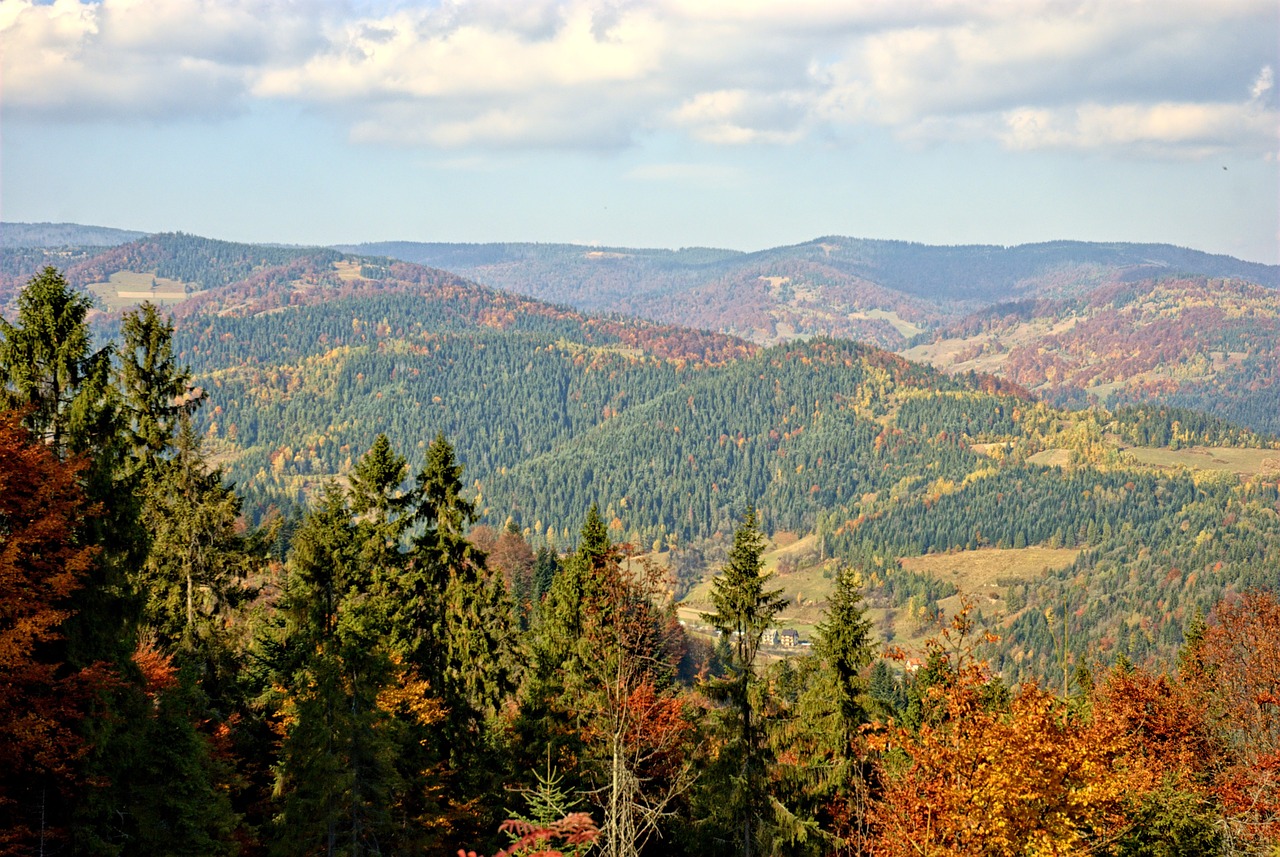 Lenkija, Pieninis, Ruduo, Saulė, Spalvos, Lapija, Šventė, Kraštovaizdis, Kalnai, Gamta