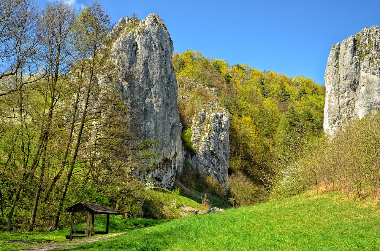 Lenkija, Slėnis Bolechowicka, Kraštovaizdis, Akmenys, Gamta, Nemokamos Nuotraukos,  Nemokama Licenzija