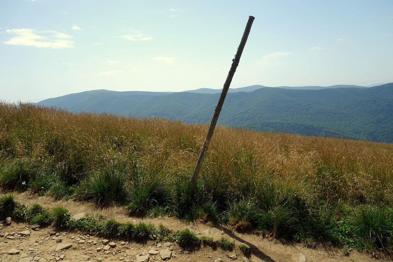 Lenkija, Bieszczady, Takas, Kelias, Viršuje, Panorama, Gamta, Kraštovaizdis, Turizmas, Kalnai