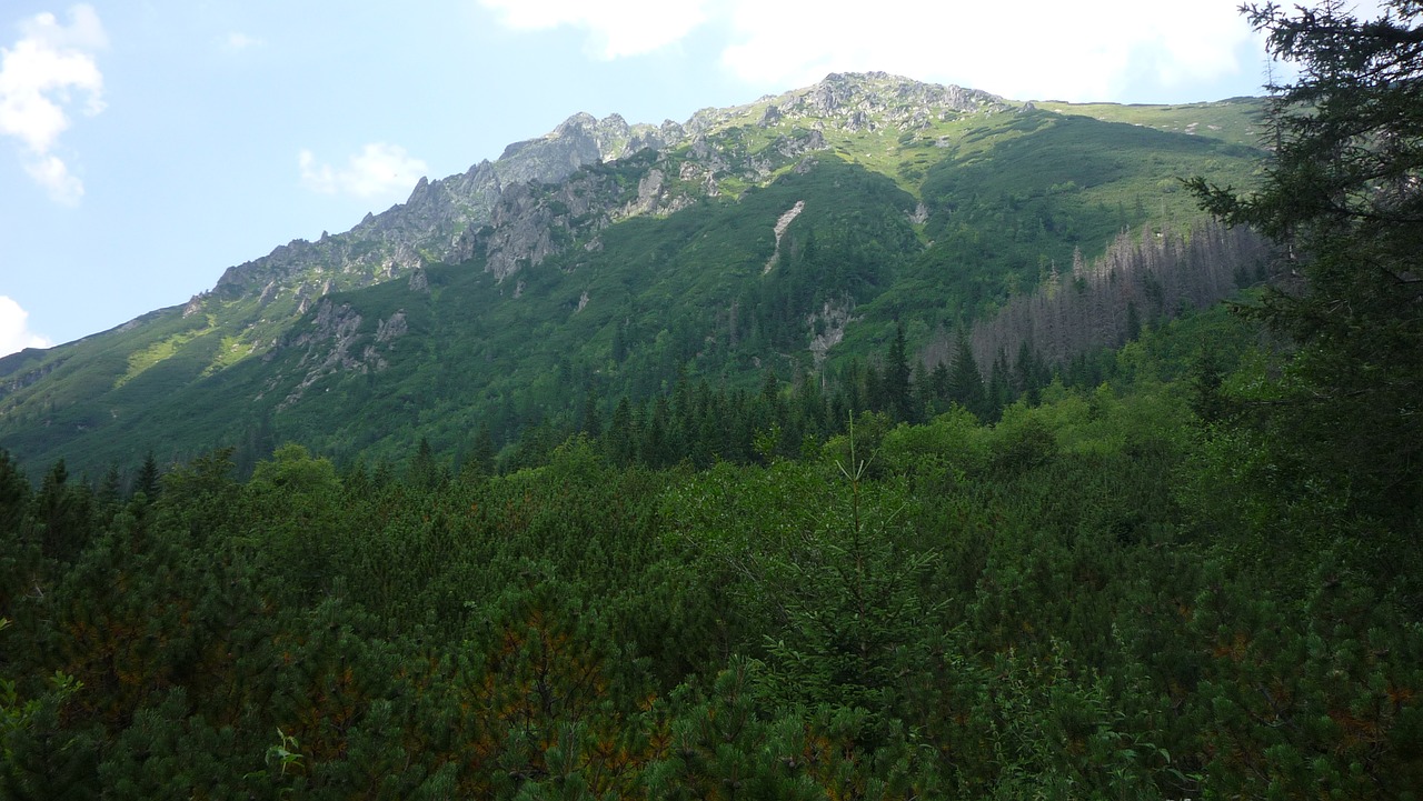 Lenkija,  Tatry,  Kalnai,  Kraštovaizdis,  Pobūdį,  Nacionalinis Parkas,  Turizmas,  Lakas Tatrai,  Top,  Peržiūrėti