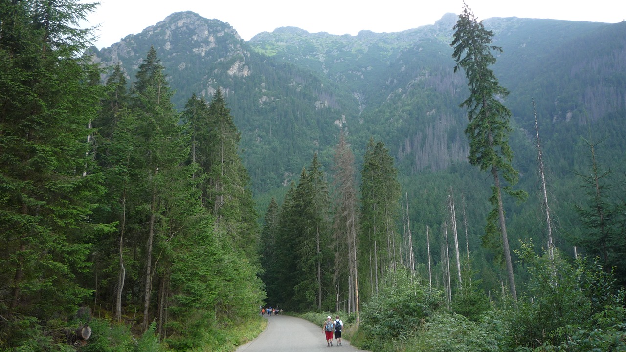 Lenkija,  Tatry,  Kalnai,  Kraštovaizdis,  Pobūdį,  Nacionalinis Parkas,  Turizmas,  Lakas Tatrai,  Top,  Peržiūrėti