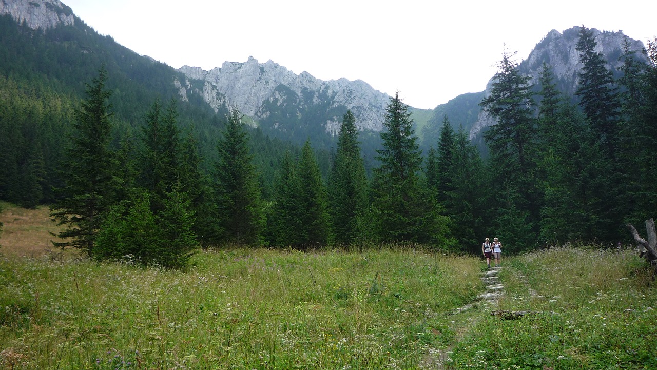 Lenkija,  Tatry,  Kalnai,  Kraštovaizdis,  Pobūdį,  Nacionalinis Parkas,  Turizmas,  Lakas Tatrai,  Panorama,  Pėsčiųjų Takai