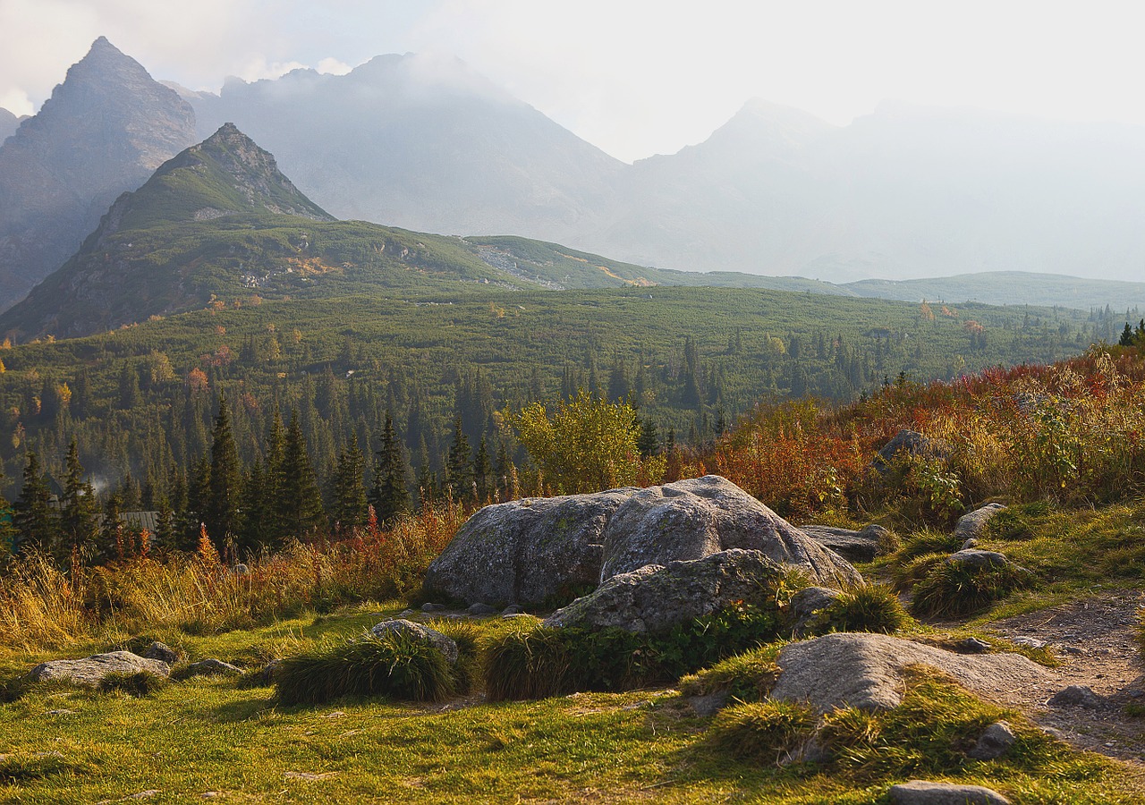 Lenkija, Tatry, Aukštas Tatras, Hala Gąsienicowa, Gąsieniców Slėnis, Akmenys, Akmenys, Kalninė Pušis, Kościelec Mažas, Kościelec Didelis