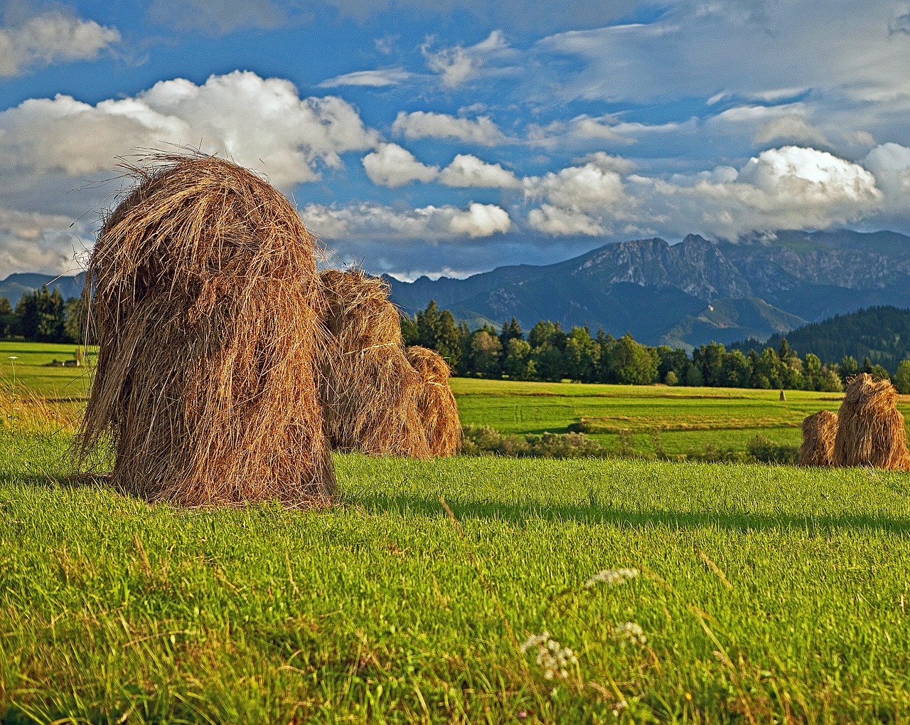 Lenkija, Podhale, Gliczarów, Kalnai, Vaizdas Į Kalnus, Tatry, Lenkų Tatros, Derlius, Rami Popietė, Po Darbo