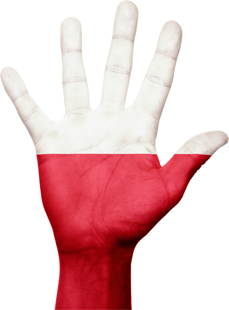 Lenkija, Ranka, Vėliava, Patriotinis, Patriotizmas, Simbolis, Ženklas, Nemokamos Nuotraukos,  Nemokama Licenzija