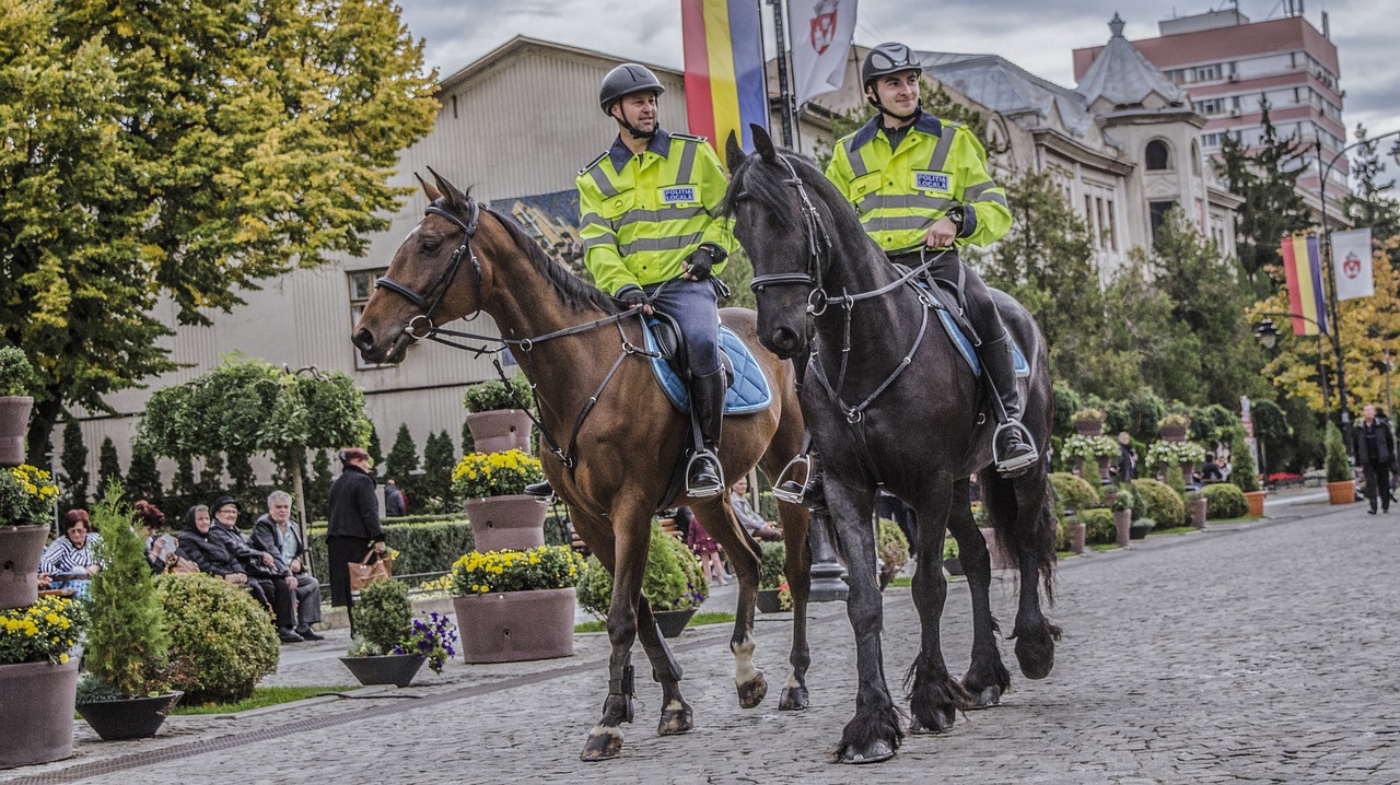 Policija, Arklys, Senas, Miestas, Nemokamos Nuotraukos,  Nemokama Licenzija