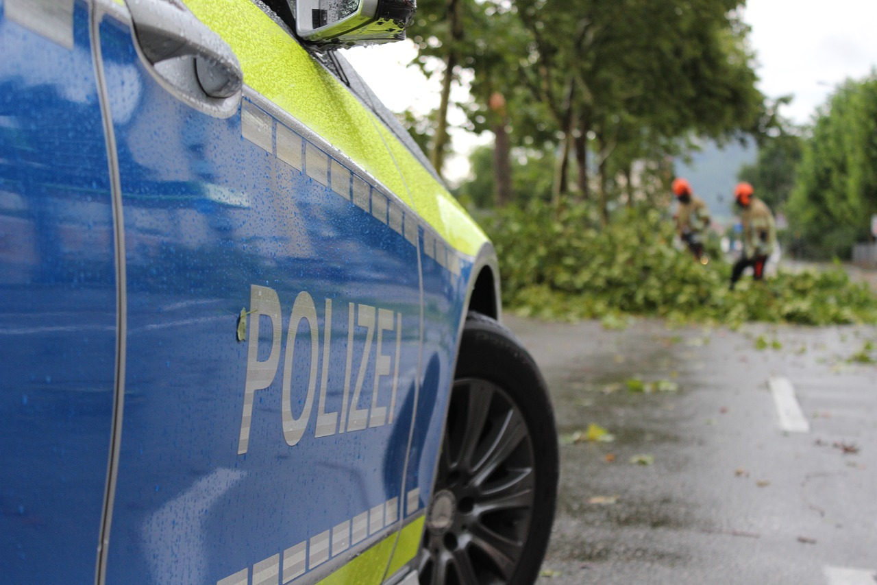 Policija,  Freiburg,  Persiųsti,  Ugnis,  Medis Žala,  Panaikino,  Medis,  Kelių,  Kelių Blokas Jo,  Blokuoja