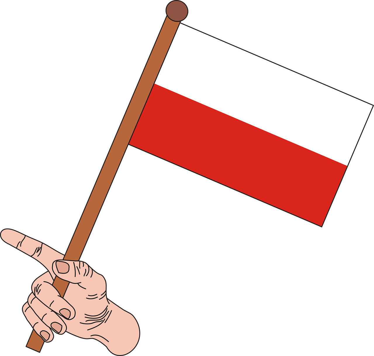 Lenkų Vėliava, Vėliava, Balta-Raudona, Lenkija, Grafika, Nacionalinės Spalvos, Lenkas, Raudona, Simbolis, Nėra Fono