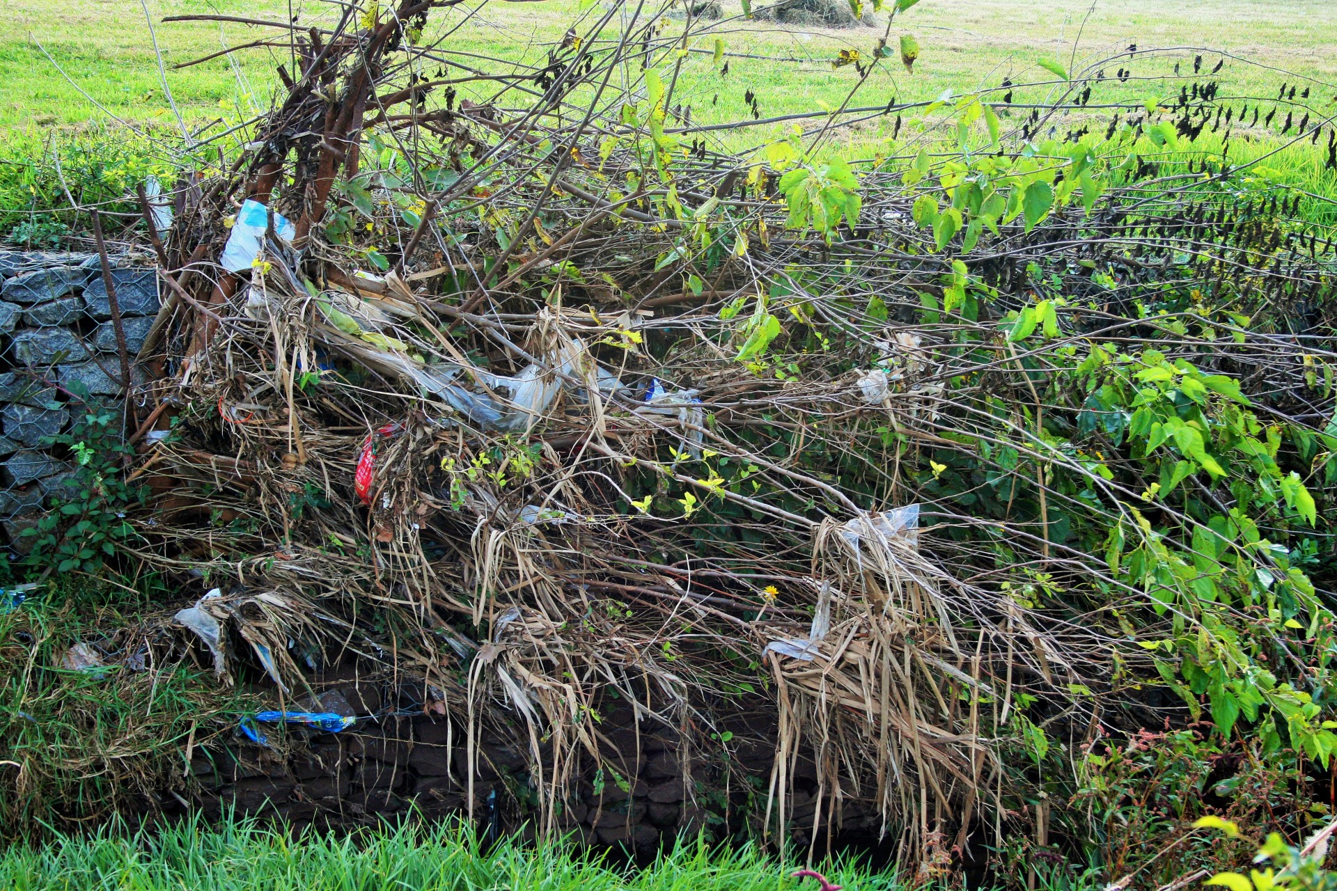 Upė,  Bankas,  Žolė,  Plastmasinis,  Dreifas,  Tarša,  Tarša Plastikiniais Paketais, Nemokamos Nuotraukos,  Nemokama Licenzija