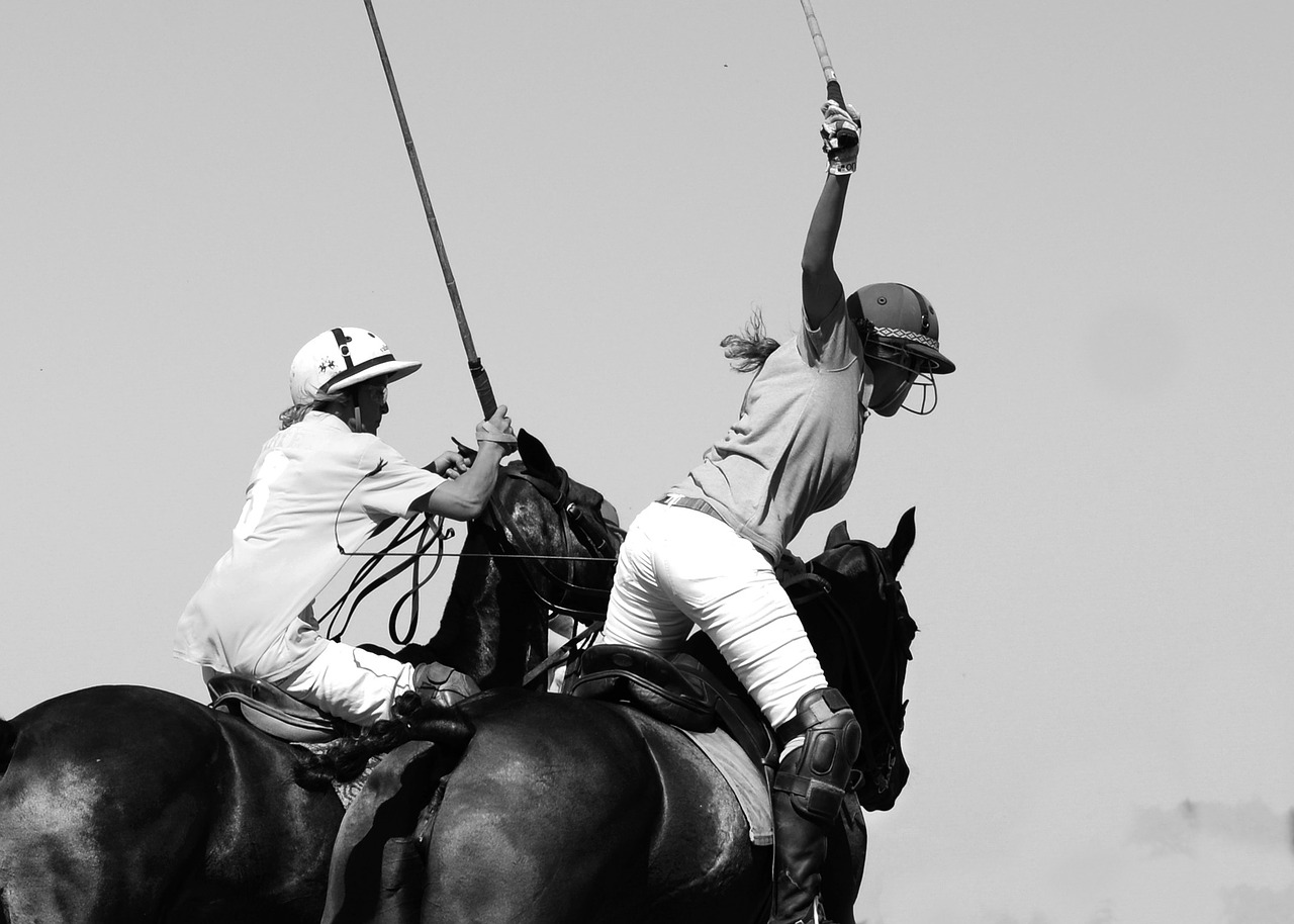 Polo, Arklys, Sportas, Raitelis, Žaidimas, Žaisti, Jodinėjimas, Jodinėjimas, Arklys, Mallet