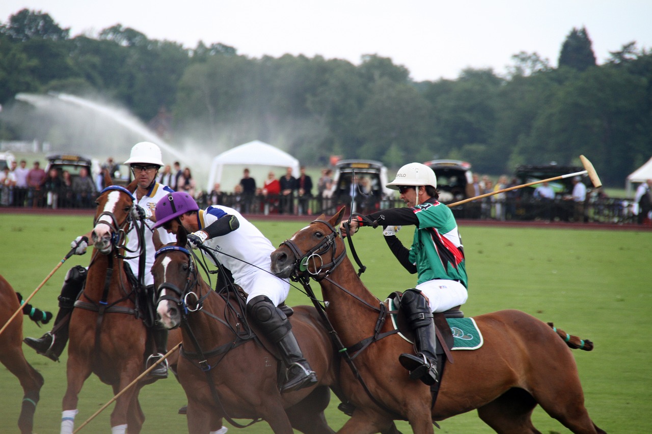 Polo, Arkliai, Žaidėjai, Jodinėjimas, Sportas, Varzybos, Arkliai, Nemokamos Nuotraukos,  Nemokama Licenzija