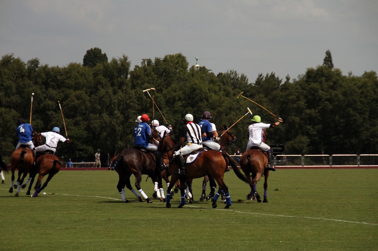 Polo, Žaidėjai, Rungtynės, Sportas, Varzybos, Jodinėjimas, Profesionalus, Arkliai, Komanda, Nemokamos Nuotraukos