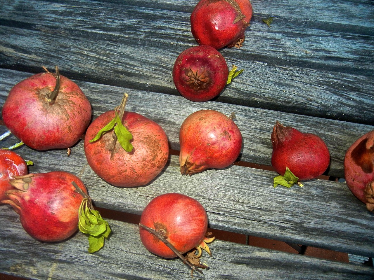 Granatas, Mediena, Vaisiai, Sveikas, Skanus, Maistas, Šviežias, Raudona, Ruduo, Kritimas