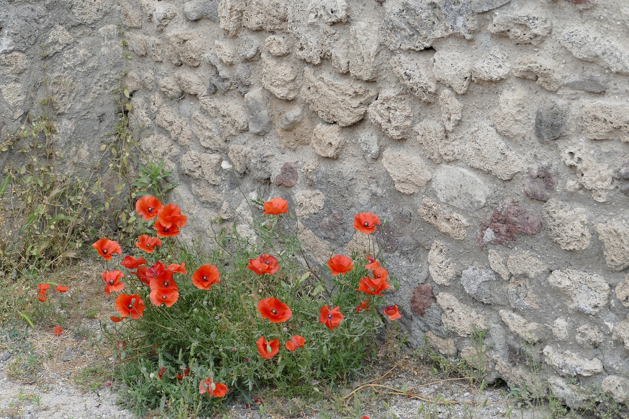 Pompėja, Italy, Naples, Senovė, Lankytinos Vietos, Turizmas, Istoriškai, Unesco, Kasimas, Senovės Laikai