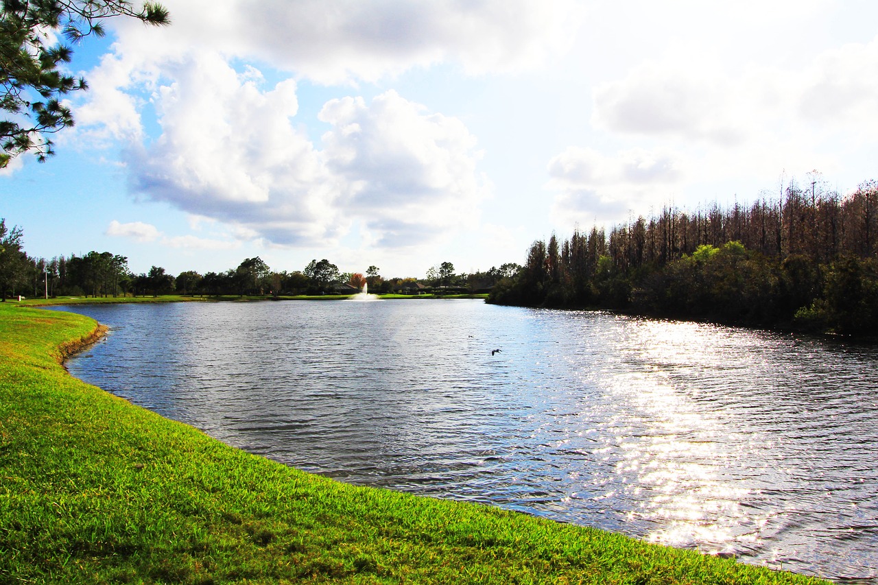 Tvenkinys, Ežeras, Fontanas, Florida, Nemokamos Nuotraukos,  Nemokama Licenzija