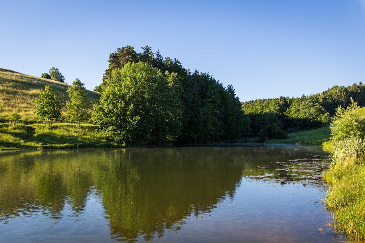 Tvenkinys, Laukas, Vanduo, Miškas, Gamta, Kraštovaizdis, Žemdirbystė, Žalia Kraštovaizdis, Kaimas, Idiliškas