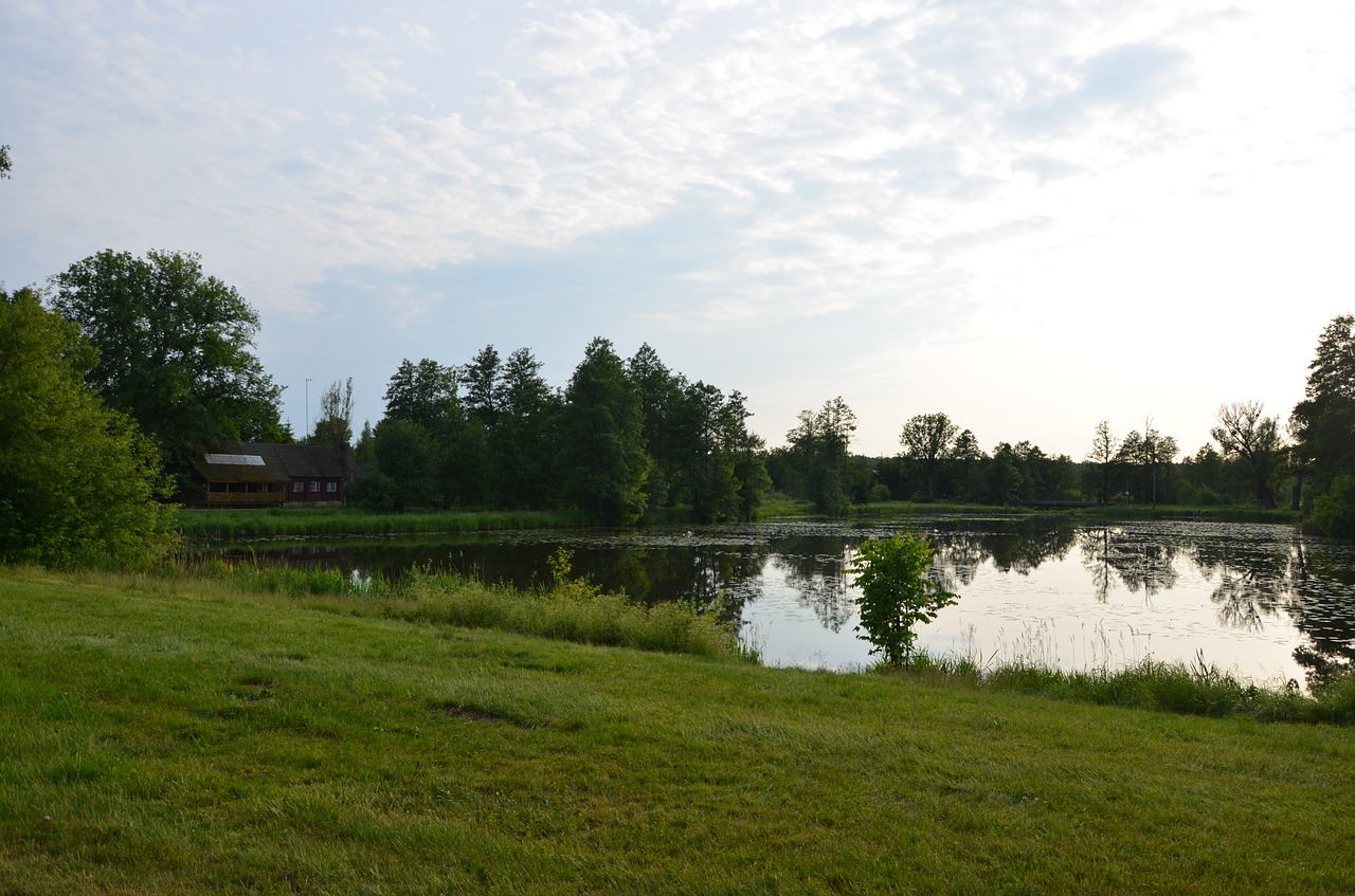 Tvenkinys, Pieva, Białowieża, Žalias, Gamta, Lenkija, Nemokamos Nuotraukos,  Nemokama Licenzija