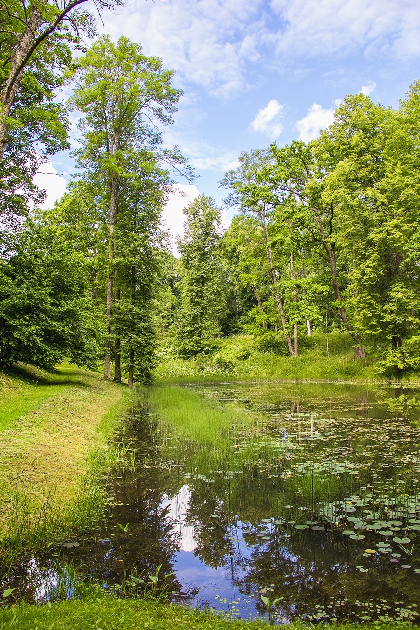 Tvenkinys, Parkas, Kraštovaizdis, Rusija, Nemokamos Nuotraukos,  Nemokama Licenzija