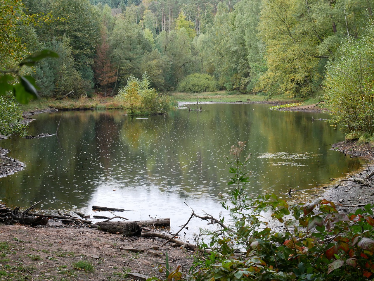 Tvenkinys, Lietus, Gamta, Ungeheuersee, Vandenys, Veidrodis, Vandens Atspindys, Kraštovaizdis, Idiliškas, Vis Dar