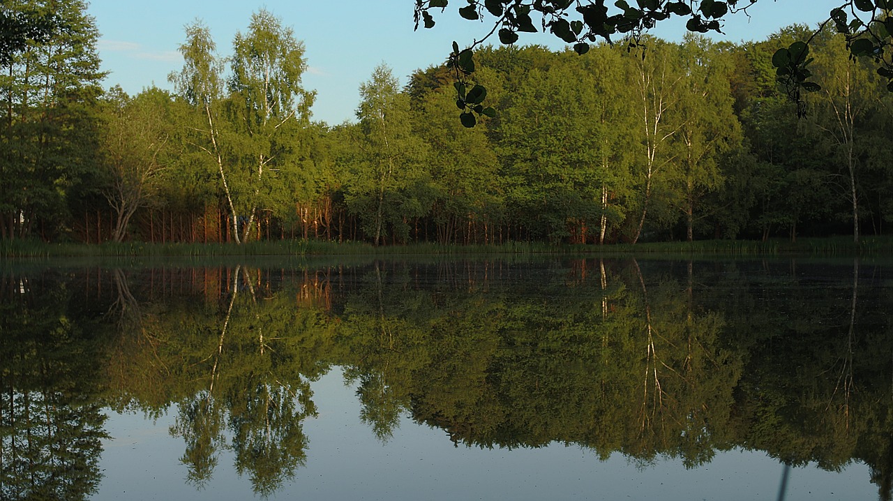 Tvenkinys, Gamta, Vanduo, Apmąstymai, Kraštovaizdis, Peizažai, Žalias, Nemokamos Nuotraukos,  Nemokama Licenzija