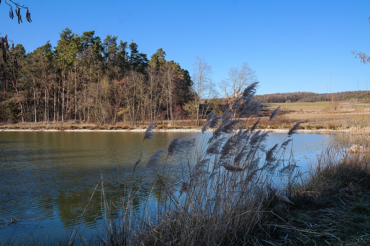 , Nemokamos Nuotraukos,  Nemokama Licenzija