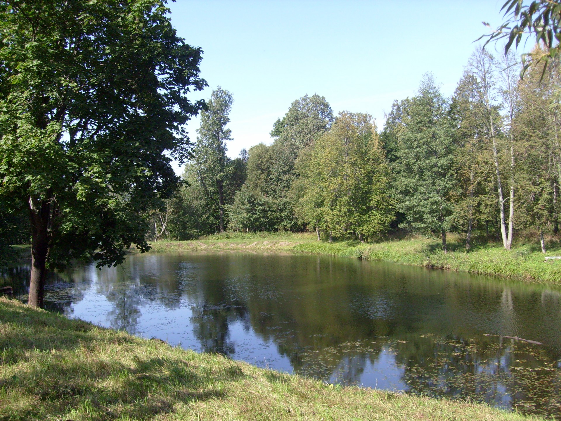 Gamta,  Kraštovaizdis,  Tvenkinys,  Vasara,  Medžiai,  Tėvynę,  Glinka,  Muzika,  Kaimas,  Novospasskoye