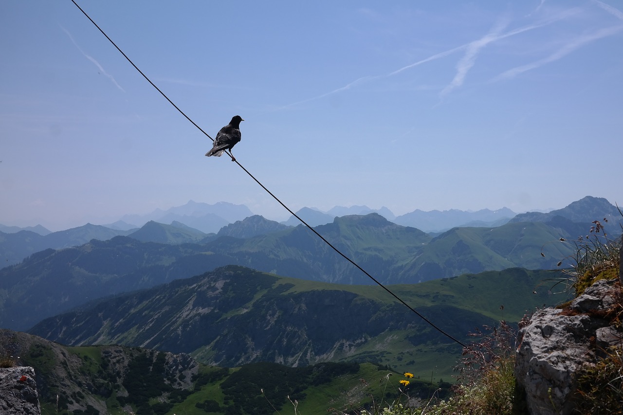 Ponten, Aukščiausiojo Lygio Susitikimas, Šikšnosparnis, Perspektyva, Panorama, Kalnas, Allgäu Alpės, Alpių, Kalnai, Nemokamos Nuotraukos