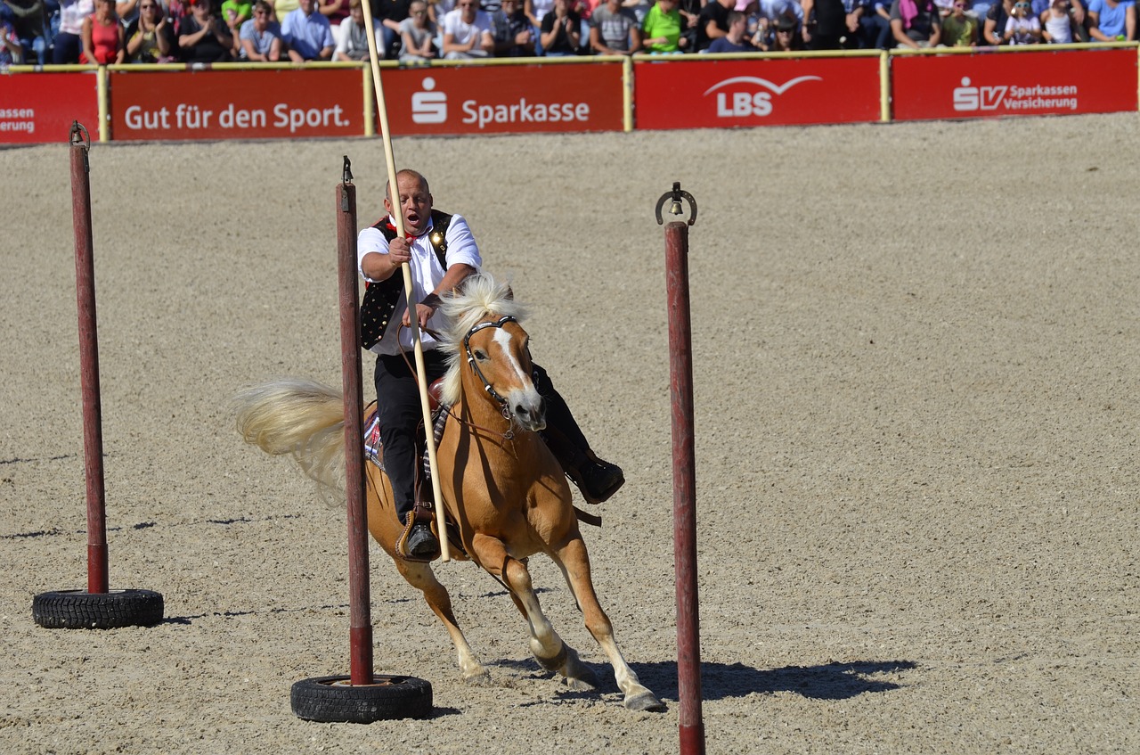 Ponis, Žiurkė, Arklio Galva, Wuschelig, Saldus, Nemokamos Nuotraukos,  Nemokama Licenzija