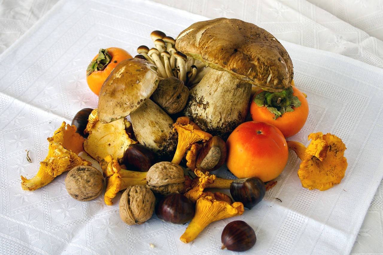 Šparaginiai Grybai, Boletus Edulis, Grybai, Karaliaus Bolete, Cavanaugh, Armillaria Mellea, Cantharellus Cibarius, Cantarelli, Voverai, Chanterelle