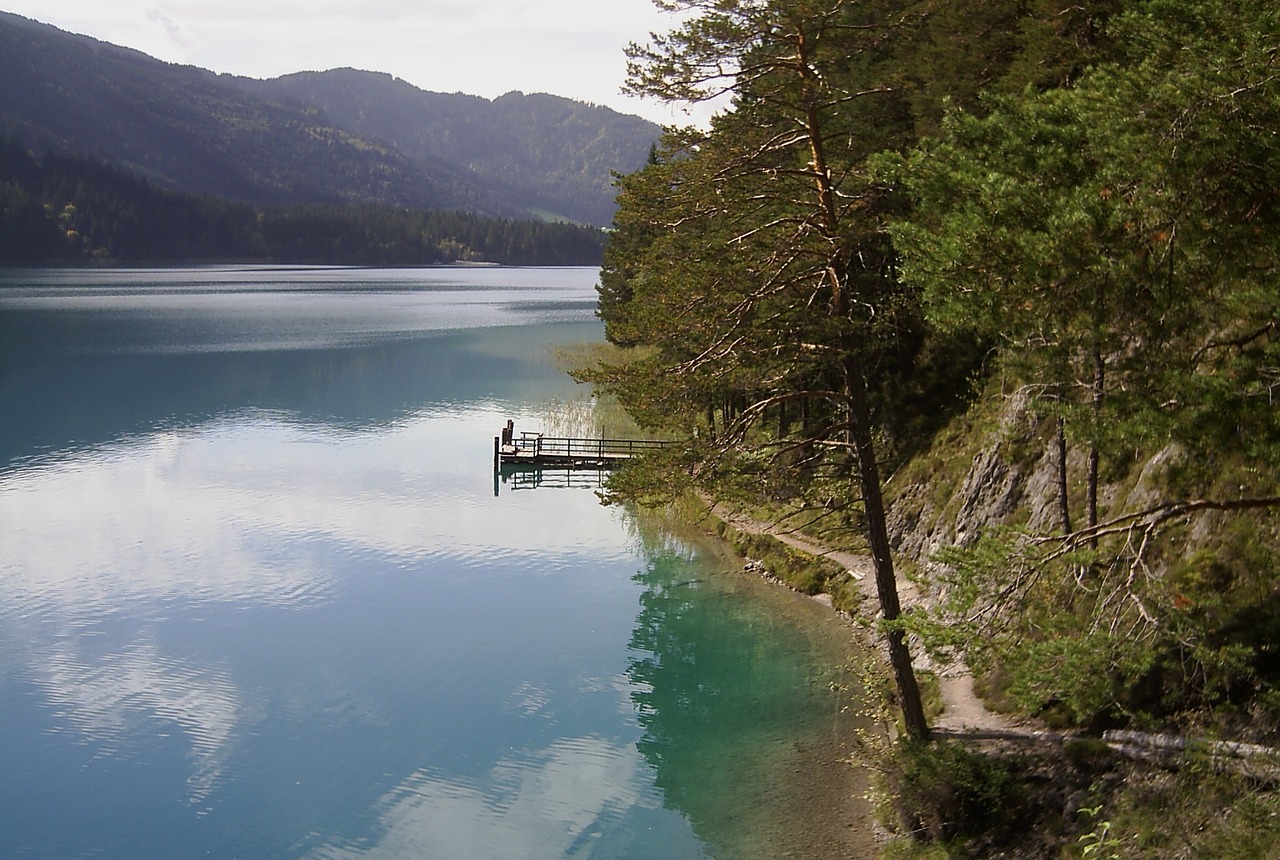 Uostas, Kraštovaizdis, Gamta, Medis, Takas, Horizontas, Miškas, Medžiai, Nemokamos Nuotraukos,  Nemokama Licenzija