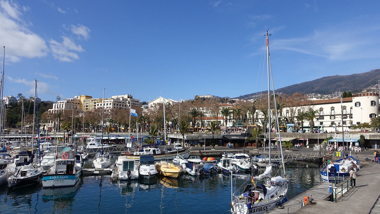 Uostas, Jachta, Vandenys, Jūra, Marina, Boot, Madeira, Funchal, Nemokamos Nuotraukos,  Nemokama Licenzija