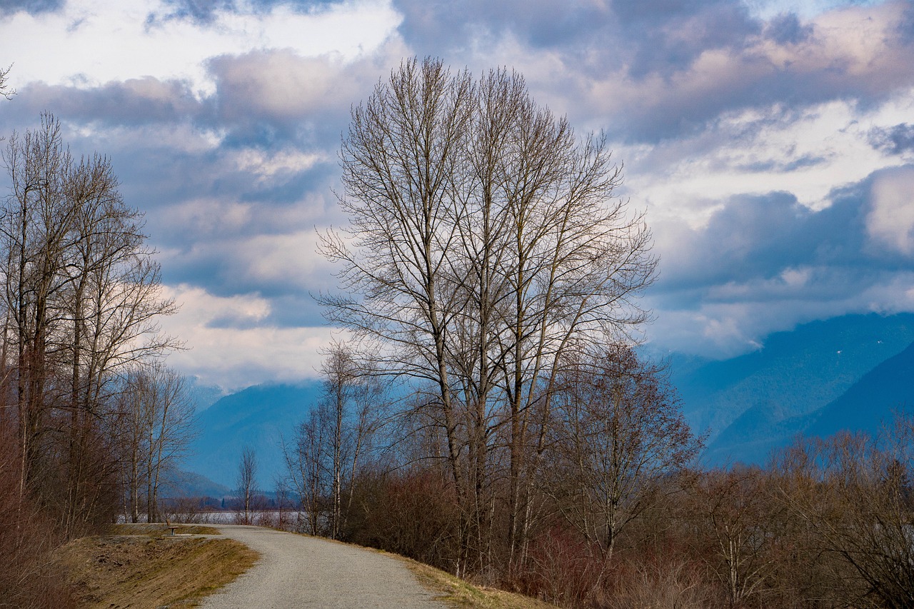 Uosto Koquitlam, Takas, Britų Kolumbija, Kanada, Traboulay Poco Takas, Poco, Traboulay, Nemokamos Nuotraukos,  Nemokama Licenzija