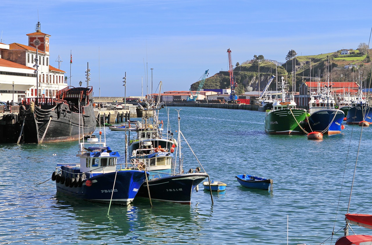 Bermeo Uostas, Uostas, Bermeo, Valtys, Barca, Merlucero, Tunų, Vizcaya, Bizkaia, Euskadi