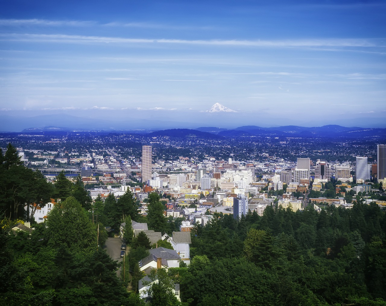 Portlandas, Oregonas, Miesto Panorama, Miestas, Miestai, Miesto, Medžiai, Pastatai, Architektūra, Vista