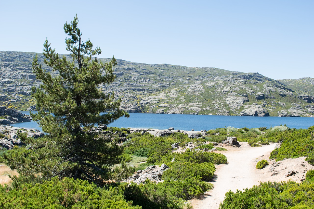 Portugal, Serra Da Estrela, Kelias, Miesto, Kelionė, Kelionė, Važiuoti, Turistų Kelionės Tikslas, Mėlynas, Žalias