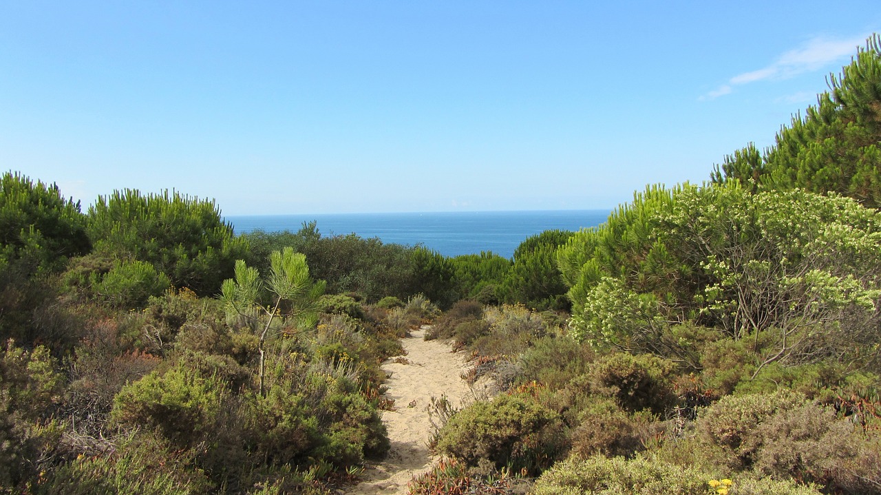 Portugal, Costa Da Caparica, Kopos, Papludimys, Атлантический, Kraštovaizdis, Kranto Linija, Gamta, Nemokamos Nuotraukos,  Nemokama Licenzija