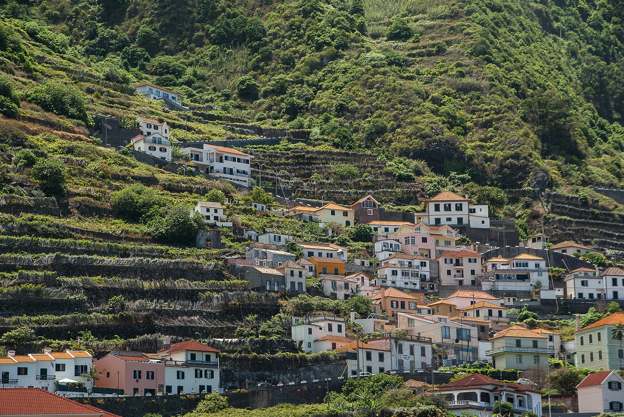 Portugalija,  Mediena,  Porto Moniz,  Kaimas, Nemokamos Nuotraukos,  Nemokama Licenzija