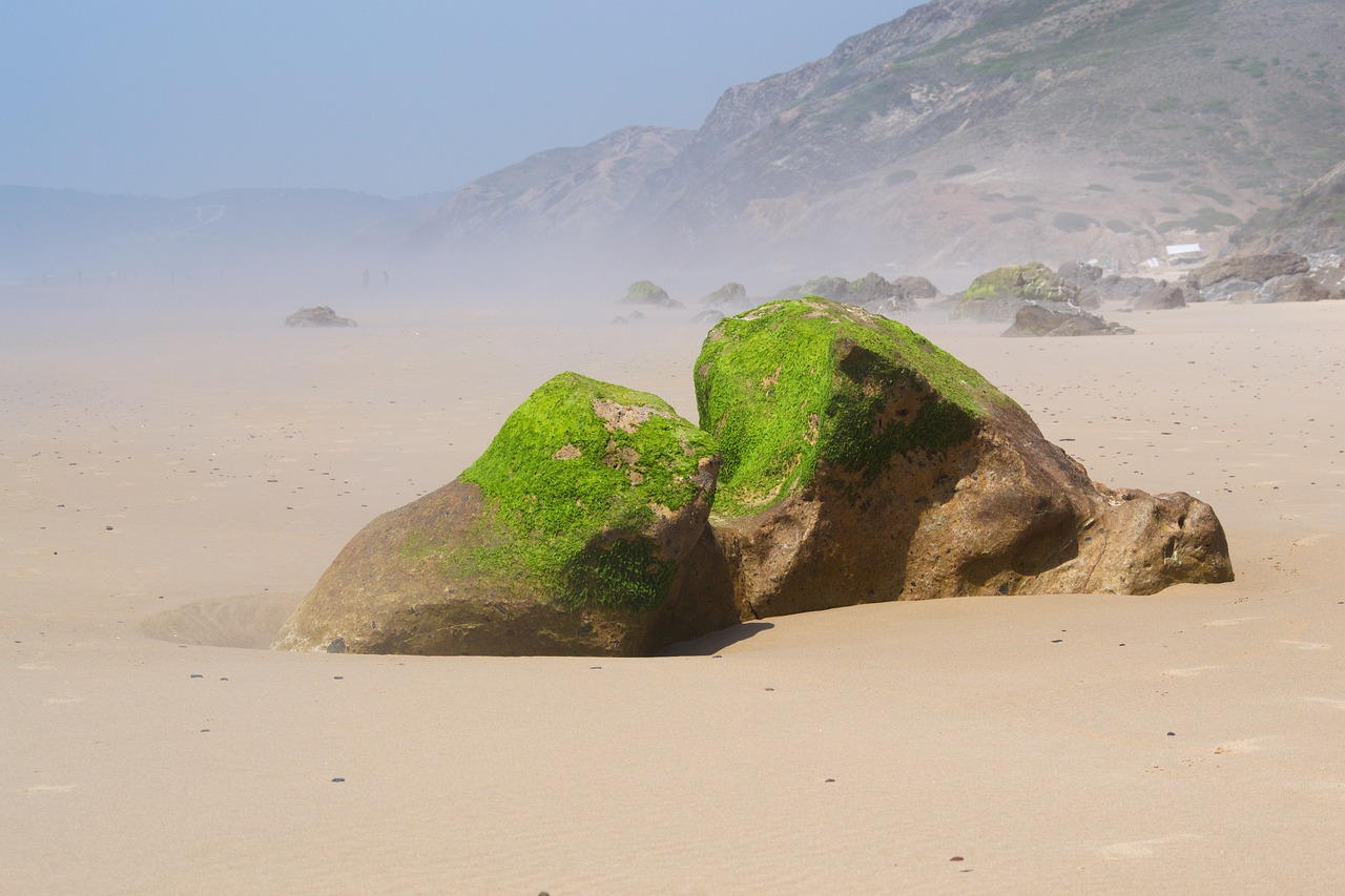 Portugalija,  Algarve,  Papludimys,  Pakrantės,  Šventės,  Sunny,  Atostogos,  Smėlis,  Kelionė,  Šventė