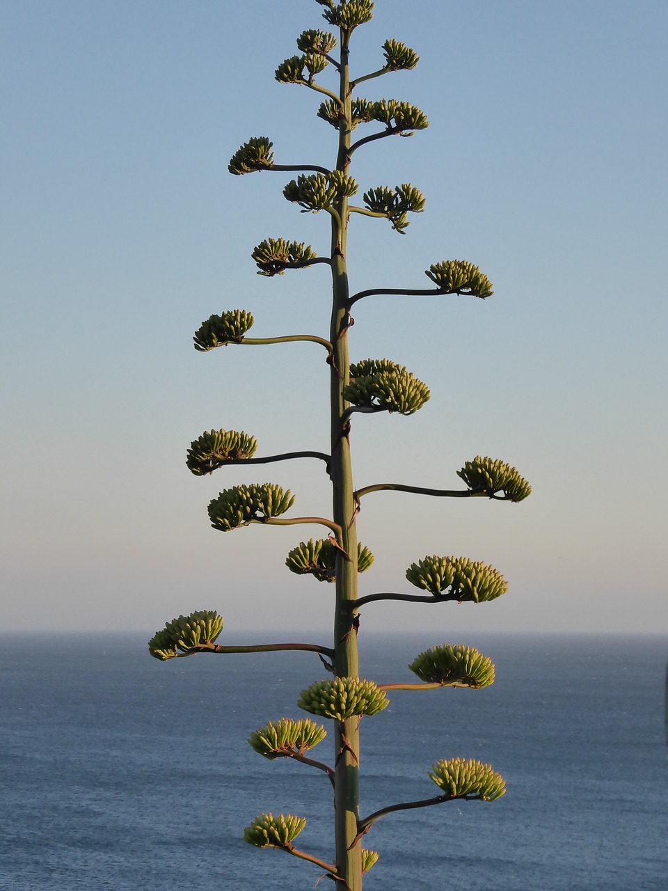 Portugalija,  Algarve,  Mes Harbour Beach, Nemokamos Nuotraukos,  Nemokama Licenzija