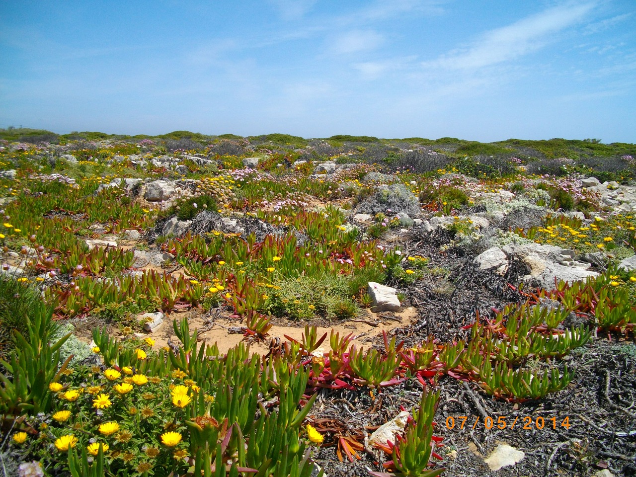 Portugal, Algarve, Kranto, Gamta, Nemokamos Nuotraukos,  Nemokama Licenzija