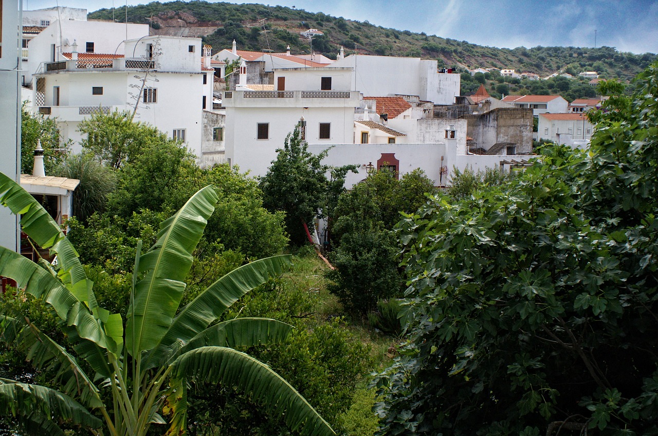 Portugal,  Algarve,  Kaimas,  Balta,  Augalas,  Gamta, Nemokamos Nuotraukos,  Nemokama Licenzija