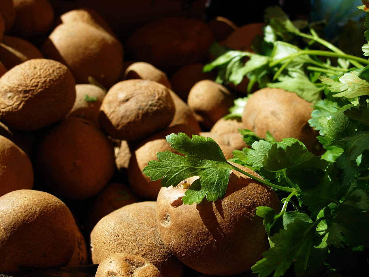 Bulvė, Daržovių, Maistas, Šviežias, Ekologiškas, Sveikas, Natūralus, Bulvės, Vegetariškas, Žemdirbystė