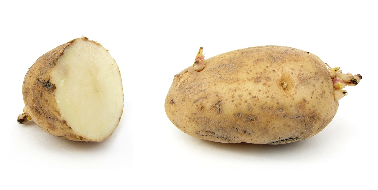 Bulvė, Žemės Obuolys, Russet Burbank Bulvės, Grundbirne, Solanum Tuberosum, Nachtschattengewächs, Maistas, Virėjas, Jėga, Stärkehaltig