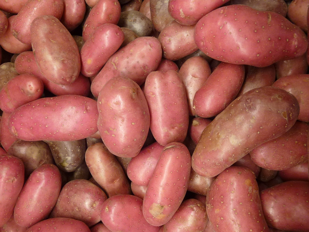 Bulvės, Spuds, Bulvė, Daržovių, Ekologiškas, Mityba, Natūralus, Sveikas, Šaknis, Vakarienė