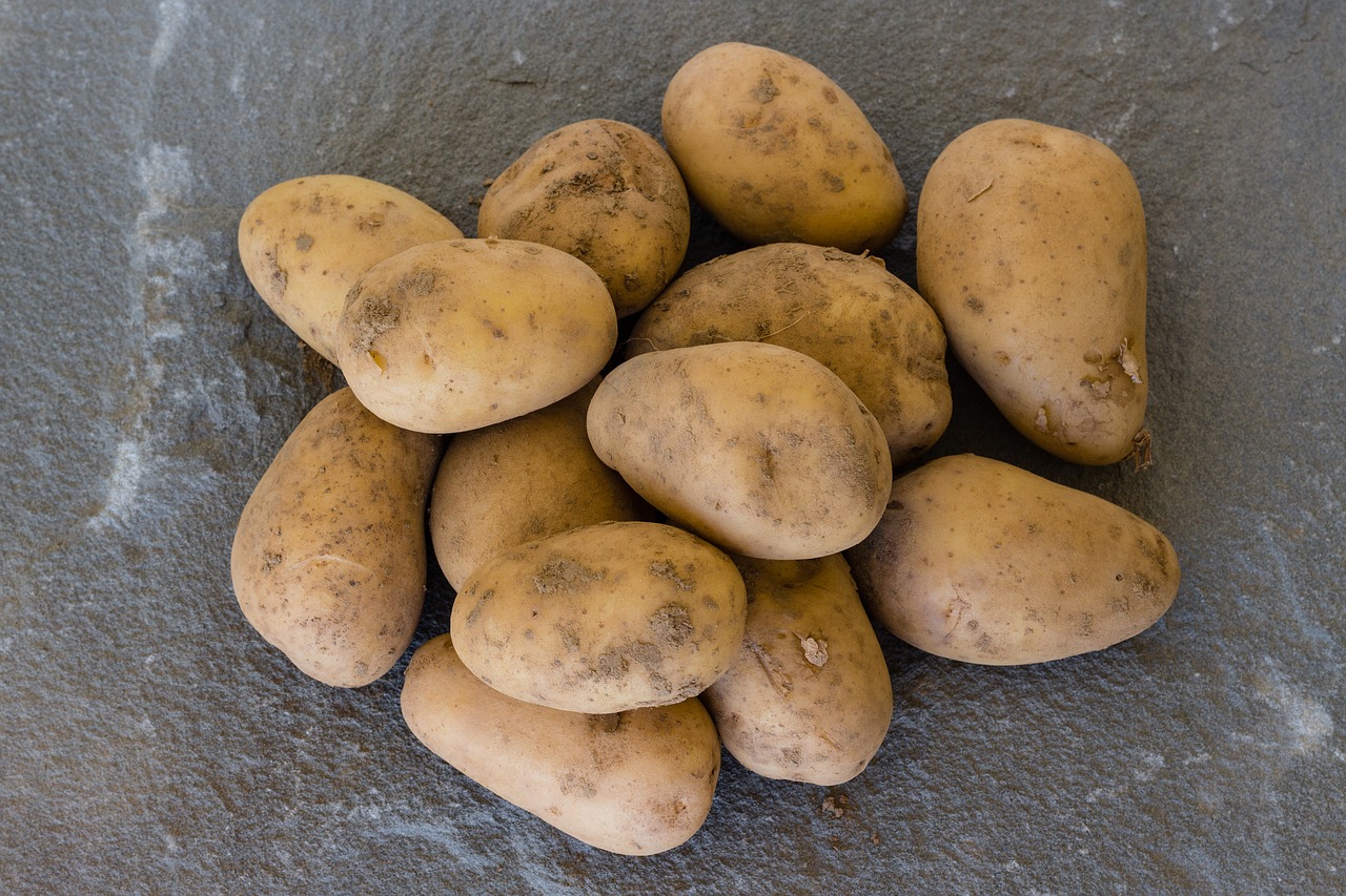 Bulvės,  Daržovės,  Maisto,  Bulvė,  Virėjas,  Valgyti,  Žemdirbystė,  Mitybos,  Sveiki,  Vegetarų