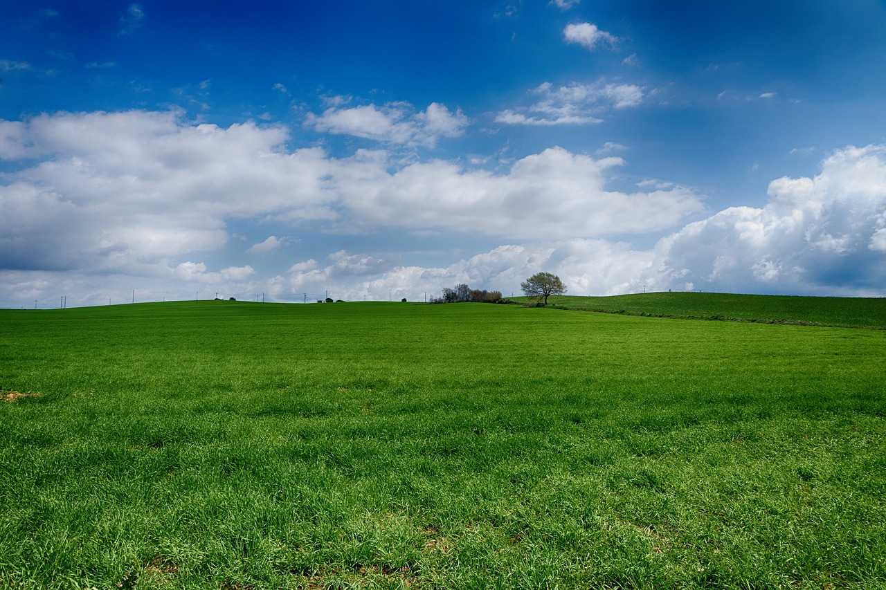 Prado,  Žalia Pieva,  Dangus,  Mėlynas Dangus,  Žalias,  Žolė,  Medis,  Hill,  Gėlės,  Pavasaris