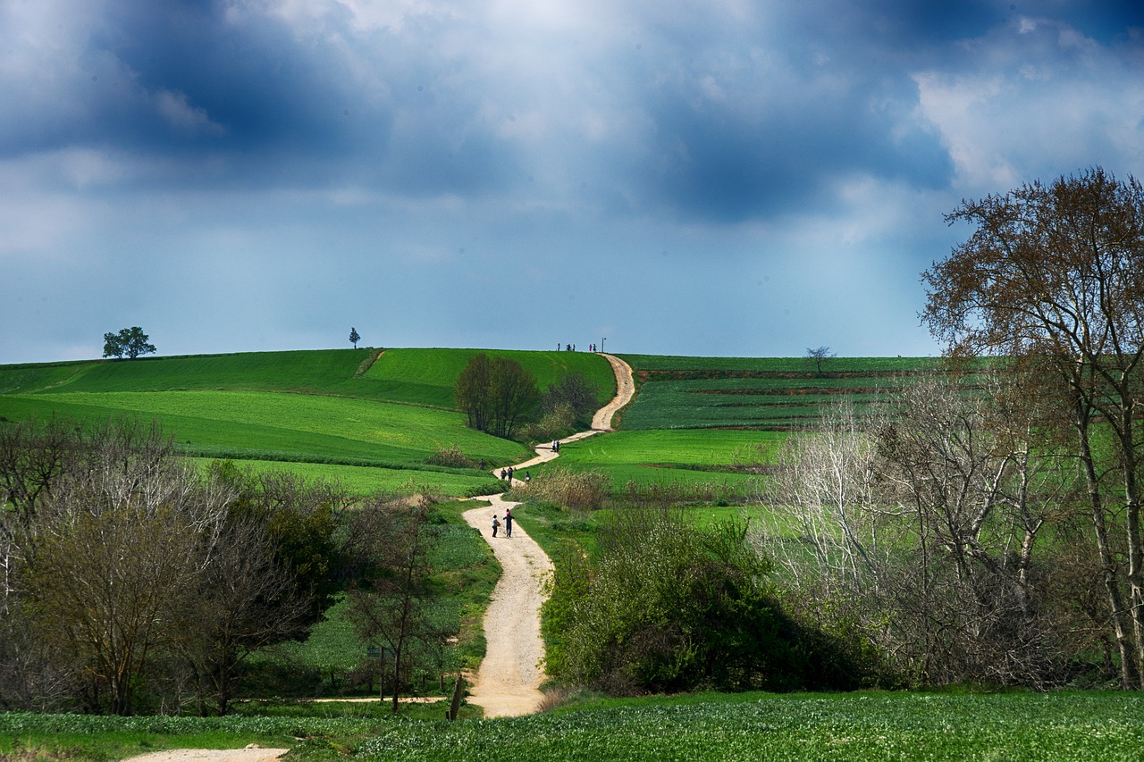 Prado,  Žalia Pieva,  Žalias,  Žolė,  Medis,  Kraštovaizdis,  Augalų,  Žygiai,  Horizontas,  Hill